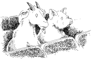 A very droll illustration