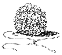 A very droll illustration