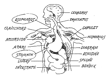 A very droll illustration