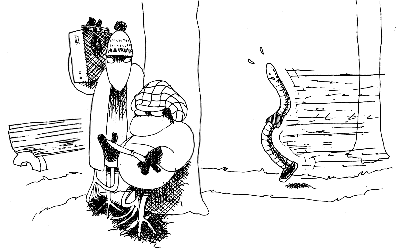 A very droll illustration